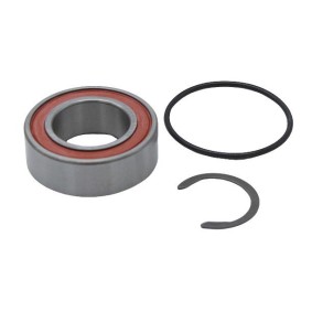 Lager, Antriebswelle IB-0011