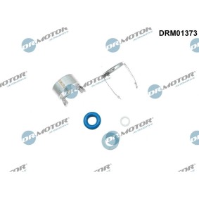 Köp Reparationssats, insprutningsmunstycke av DR.MOTOR AUTOMOTIVE DRM01373 till det låga priset 155,80 kr