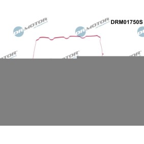 Dichtungssatz, Ansaugkrümmer für FORD von DR.MOTOR AUTOMOTIVE