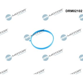 MAZDA Ansaugkrümmerdichtung von DR.MOTOR AUTOMOTIVE