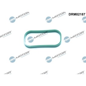 Acquista Guarnizione, Collettore aspirazione da DR.MOTOR AUTOMOTIVE DRM02187 a buon mercato per soli 13,39 €