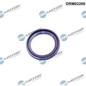 Köp Packbox, vevaxel av DR.MOTOR AUTOMOTIVE DRM02209 till det låga priset 246,64 kr