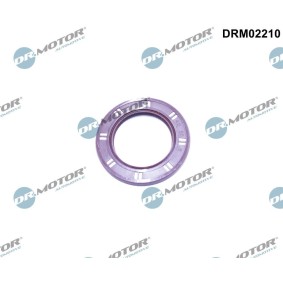 Köp Packbox, vevaxel av DR.MOTOR AUTOMOTIVE DRM02210 till det låga priset 118,16 kr
