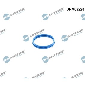 Dichtung, Ansaugkrümmergehäuse von DR.MOTOR AUTOMOTIVE