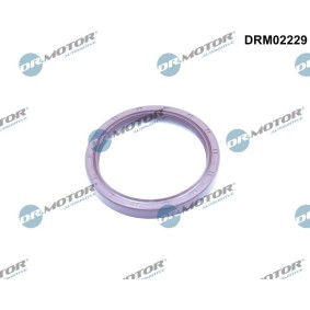 Köp Packbox, vevaxel av DR.MOTOR AUTOMOTIVE DRM02229 till det låga priset 175,84 kr