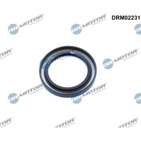 Köp Packbox, vevaxel av DR.MOTOR AUTOMOTIVE DRM02231 till det låga priset 135,34 kr