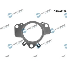 Acquista Guarnizione turbina da DR.MOTOR AUTOMOTIVE online per Vivaro C Combi (K0) a prezzi moderati