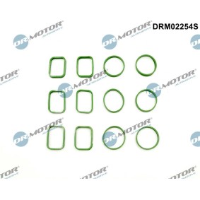 AUDI Dichtungssatz, Ansaugkrümmer von DR.MOTOR AUTOMOTIVE
