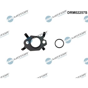 Dichtungssatz, AGR-System DRM02257S CITROËN DS4 von DR.MOTOR AUTOMOTIVE
