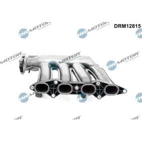 Ansaugbrücke DRM12815