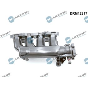 Ansaugbrücke DRM12817