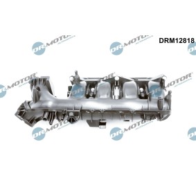 Ansaugbrücke DRM12818
