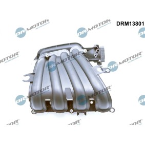 Ansaugbrücke DRM13801