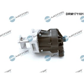 AGR-Ventil DRM171101