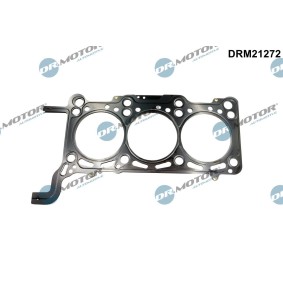 Acquista Guarnizione testata da DR.MOTOR AUTOMOTIVE DRM21272 a buon mercato per soli 42,70 €