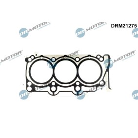 Compre Junta de culata de DR.MOTOR AUTOMOTIVE online para GRAND VOYAGER V (RT) a precios moderados