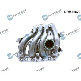 Ansaugbrücke DRM21829