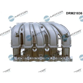 Ansaugbrücke DRM21836