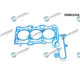 Zylinderkopfdichtung DRM22226 für MINI