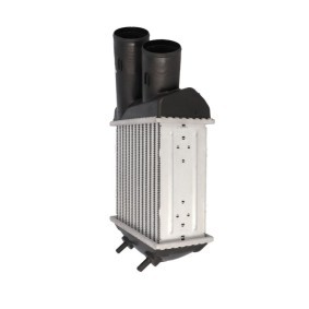 Kjøp Intercooler fra CLIMTEX på nett for Scénic I (JA0/1_, FA0_) til moderate priser