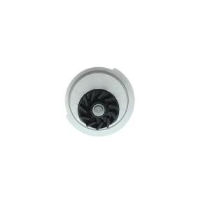 Achetez des Pompe à eau AISIN WO-004 à prix pour 31,72 €