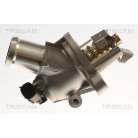 Kühlwasserthermostat 8620 82003
