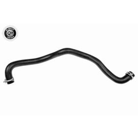 Comprar Tensor de correa poli V de VAICO V10-8919 a bajo precio de 115,00 €