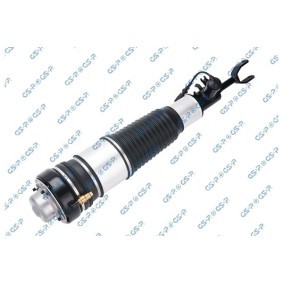 Compre Amortecedor pneumático da GSP 30900041 a um preço baixo por 865,49 €