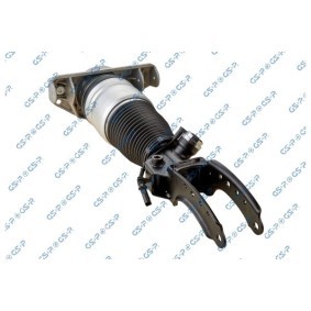 Acquista Ammortizzatore pneumatico da GSP 30900131 a buon mercato per soli 504,02 €