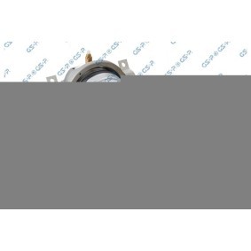 Luftfederbein von GSP günstig für 490,74 €