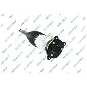 Acquista Ammortizzatore pneumatico da GSP 30900920 a buon mercato per soli 616,73 €