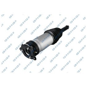 Acquista Ammortizzatore pneumatico da GSP 30901010 a buon mercato per soli 560,71 €