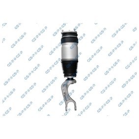 Acquista Ammortizzatore pneumatico da GSP 30901020 a buon mercato per soli 616,73 €