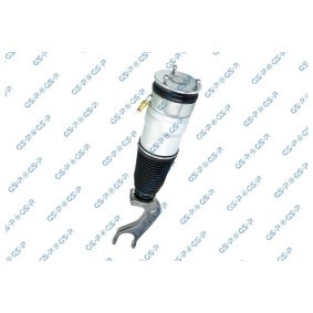 Acquista Ammortizzatore pneumatico da GSP 30901040 a buon mercato per soli 361,06 €