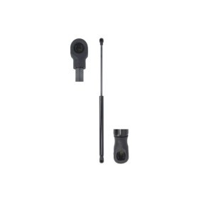 Comprar Amortiguador de maletero de Magnum Technology MGS0070 a bajo precio de 18,24 €