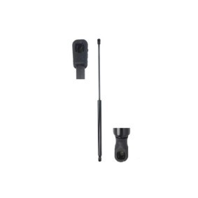 Heckklappendämpfer MGS2129 von Magnum Technology günstig für 24,73 € online kaufen