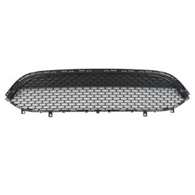 Kühlergrill 6502-07-0941992P