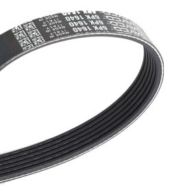 Compre Correia trapezoidal estriada da DAYCO 6PK1640 a um preço baixo por 18,61 €