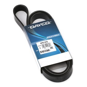 Compre Correia trapezoidal estriada da DAYCO 6PK1670 a um preço baixo por 17,32 €