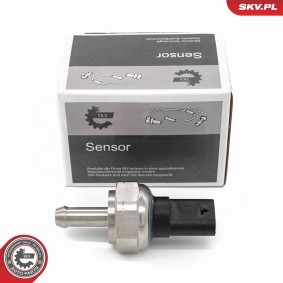 Differenzdrucksensor 17SKV873 für BMW