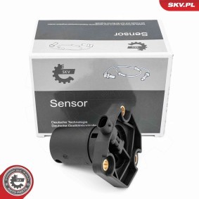 Sensor, Motorölstand 17SKV930