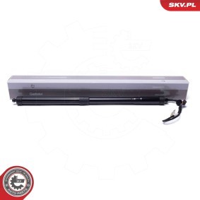 Köp Elmotor, baklucka av ESEN SKV 52SKV954 till det låga priset 1435,47 kr