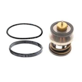 Achetez des Thermostat d'eau GOOM THE-0141 à prix pour 84,32 €