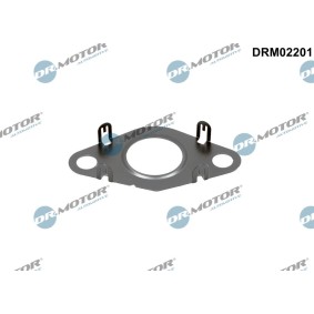 Dichtung, Leitung AGR-Ventil DRM02201