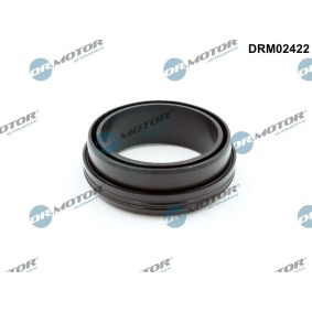 Osta Tiivisterengas, ahtoilmaletku DR.MOTOR AUTOMOTIVE:llä DRM02422 edullisesti hintaan 12,98 €