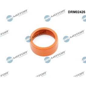 Köp Tätningsring, laddluftslang av DR.MOTOR AUTOMOTIVE DRM02426 till det låga priset 119,17 kr
