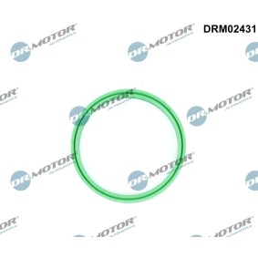 Osta Tiivisterengas, ahtoilmaletku DR.MOTOR AUTOMOTIVE:llä DRM02431 edullisesti hintaan 6,43 €