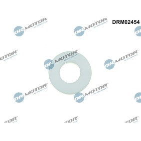 Dichtung, Kraftstoffleitung DRM02454
