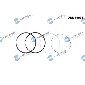 Acquista Kit fasce elastiche da DR.MOTOR AUTOMOTIVE DRM166611 a buon mercato per soli 43,91 €