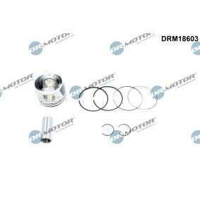 Achetez des Piston DR.MOTOR AUTOMOTIVE DRM18603 à prix pour 143,59 €